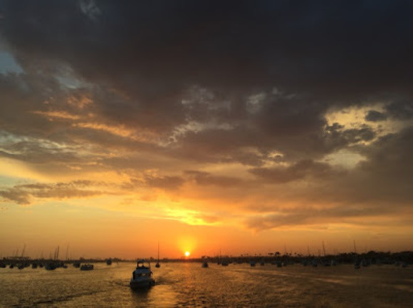 Meet your Posher, Andrew - Picture 1 of 1